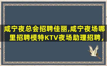 德州酒吧招聘